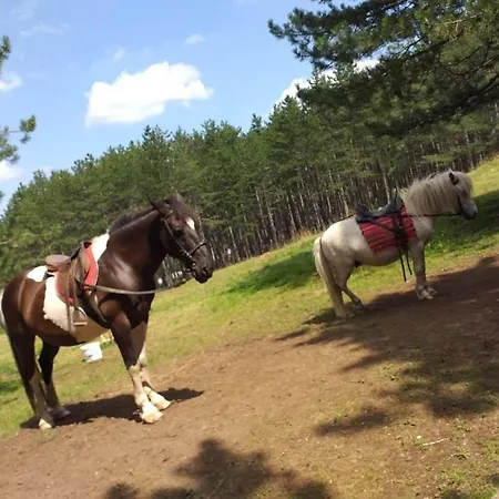 Lägenhet Adam-zlatiborska I Zlatibor